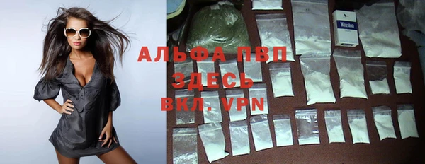 тгк Абаза