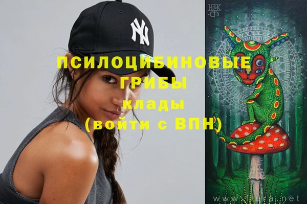 тгк Абаза