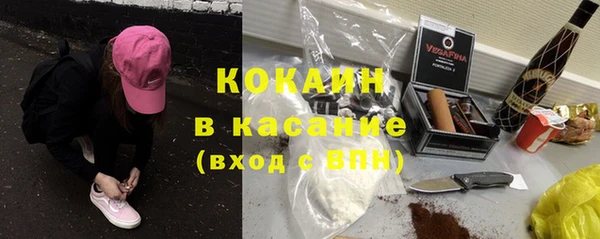 дмт Арсеньев